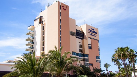 reforma-hotel-orquidea-bahia-feliz-1